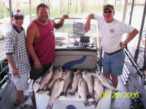 Nice Striped Bass