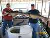 (03/12/2008) - Nice Striped Bass