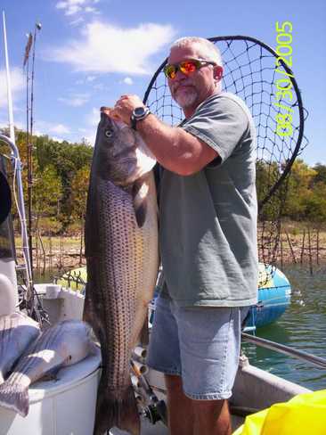 Nice Striped Bass