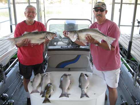 Nice Striped Bass