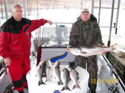 Nice Striped Bass