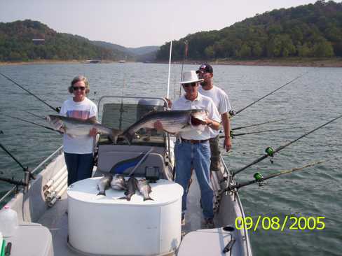 Nice Striped Bass