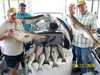 (08/23/2008) - Nice Striped Bass