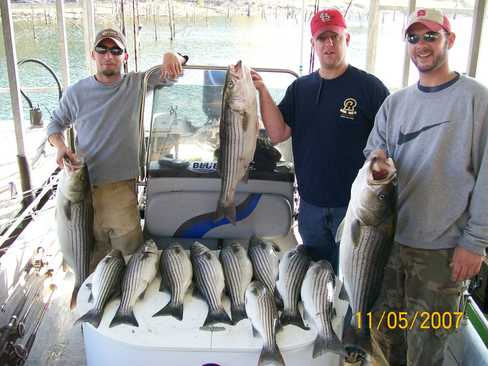 Nice Striped Bass