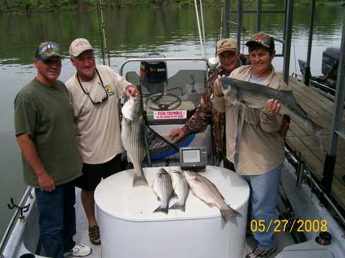 Nice Striped Bass