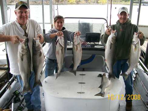 Nice Striped Bass