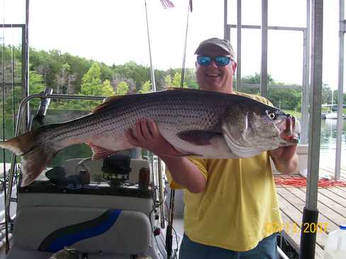 Nice Striped Bass