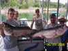 (06/19/2006) - Nice Striped Bass