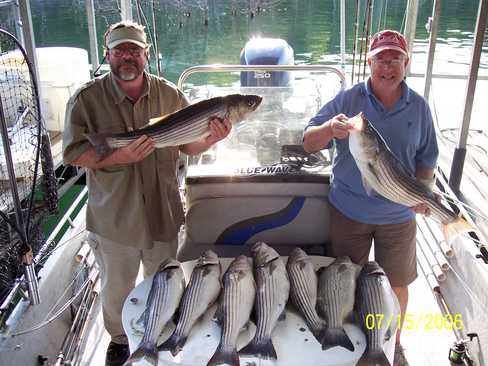 Nice Striped Bass