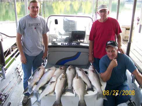 Nice Striped Bass