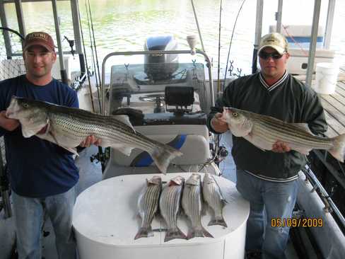 Nice Striped Bass