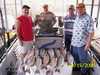 (04/15/2006) - Nice Striped Bass