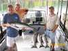 (08/28/2008) - Nice Striped Bass
