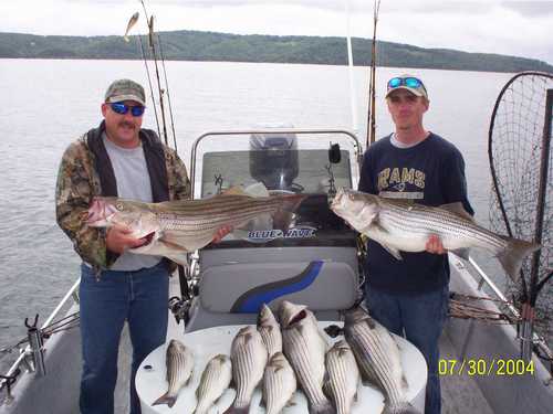 Nice Striped Bass