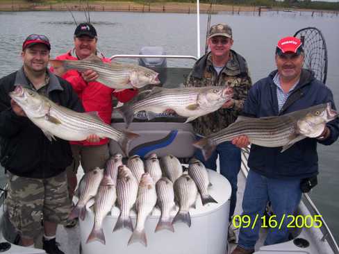 Nice Striped Bass