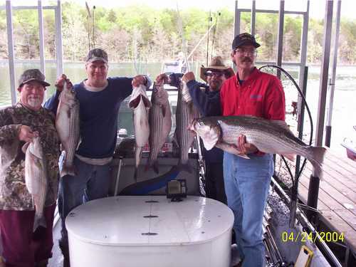 Excellent Striper Fishing