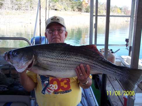 This could be your Striper