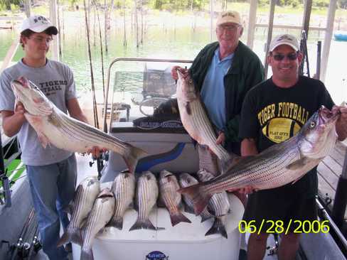 Nice Striped Bass