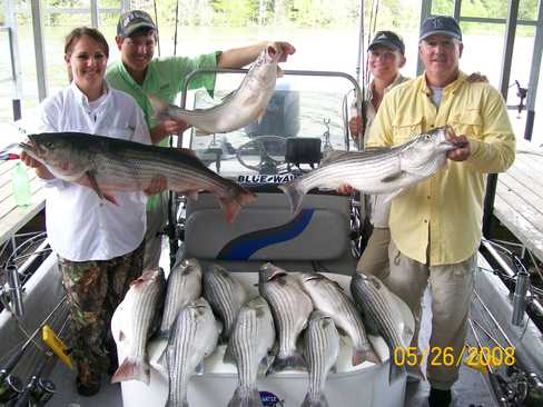 Nice Striped Bass