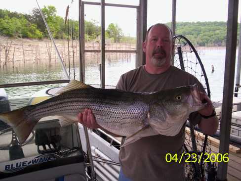 Nice Striped Bass