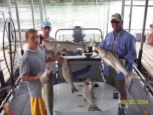 Nice Striped Bass