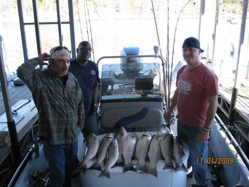Nice Striped Bass