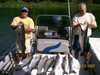 (07/03/2007) - Nice Striped Bass