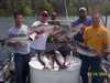 (05/24/2004) - Nice Striped Bass