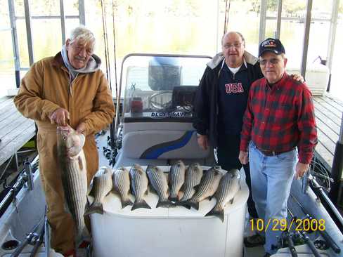 Nice Striped Bass