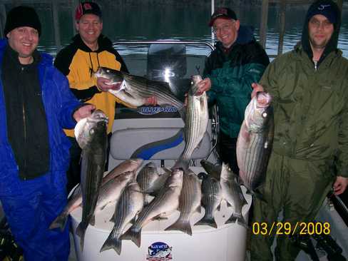 Nice Striped Bass