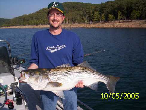 Nice Striped Bass