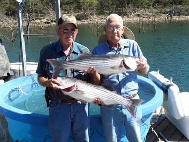 Nice Striped Bass