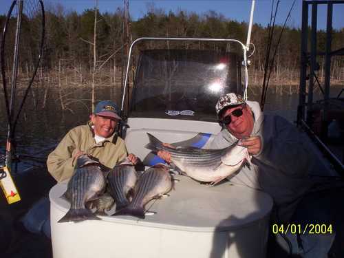 Nice Striped Bass