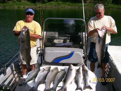 Nice Striped Bass