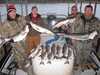 (12/06/2009) - Nice Striped Bass