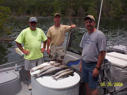 Nice Striped Bass