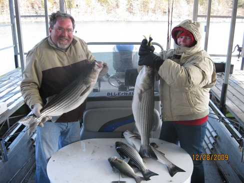 Nice Striped Bass