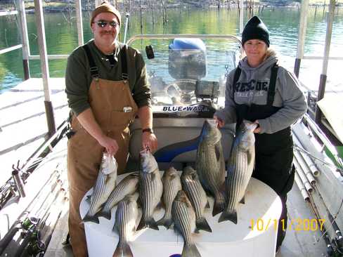 Nice Striped Bass