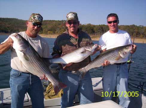 Nice Striped Bass