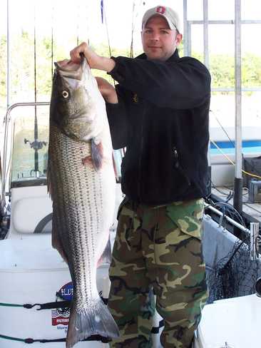 Nice Striped Bass