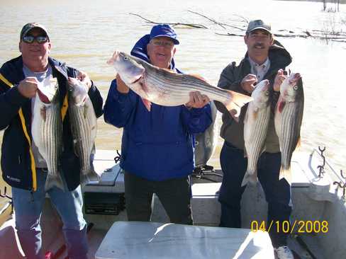 Nice Striped Bass
