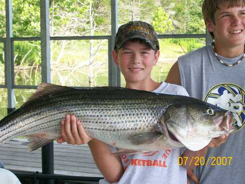 Nice Striped Bass