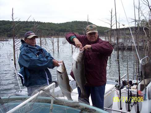 Nice Striped Bass