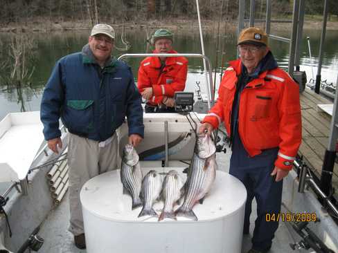 Nice Striped Bass