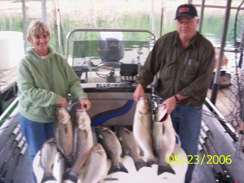 Nice Striped Bass