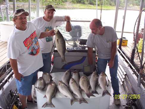 Nice Striped Bass