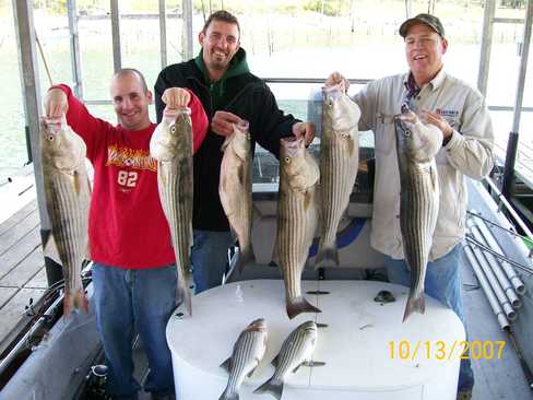 Nice Striped Bass