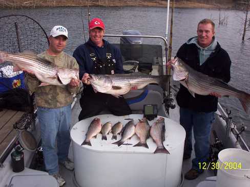 Nice Striped Bass