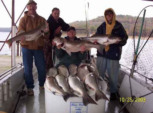 Nice Striped Bass