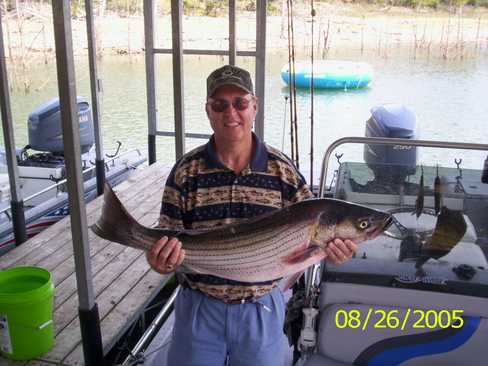 Nice Striped Bass